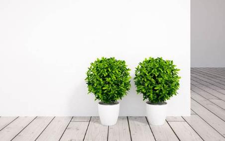 �Gɫ�h(hu��n)�����o(w��)���o(w��)ζ