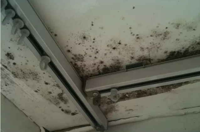 �҃�(n��i)�Y(ji��)¶�l(f��)ù