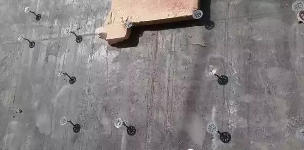 ���ز���Ó��