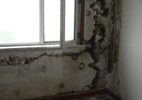 �ЙC���ز��Ϻ͟o�C���ز����״�����Щ�|�����}��