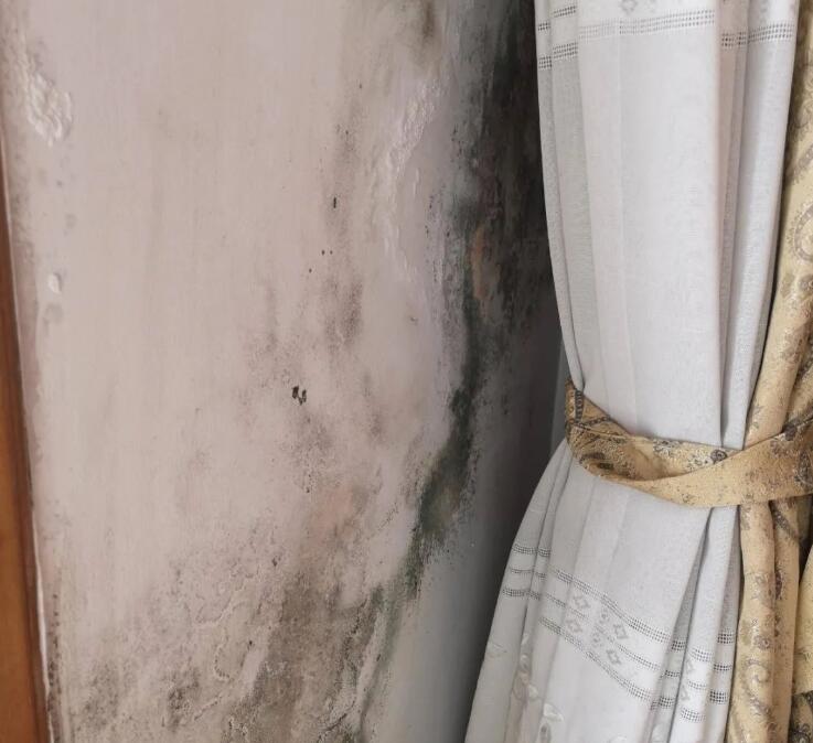 ����Ǽ��b�≦���أ���������Љ��ڰl(f��)ù����ô���£�