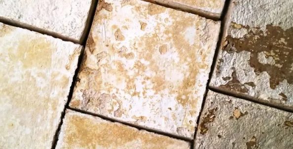 ���z�w���ز��������������τ���